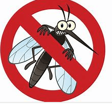 no mosquitos