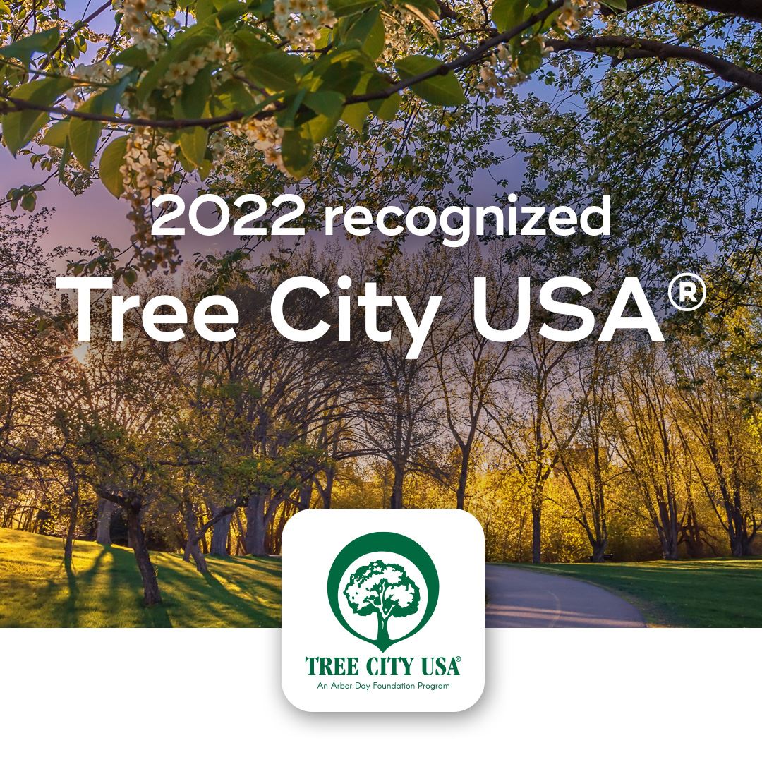 TreeCityUSA_socialimag2[1]