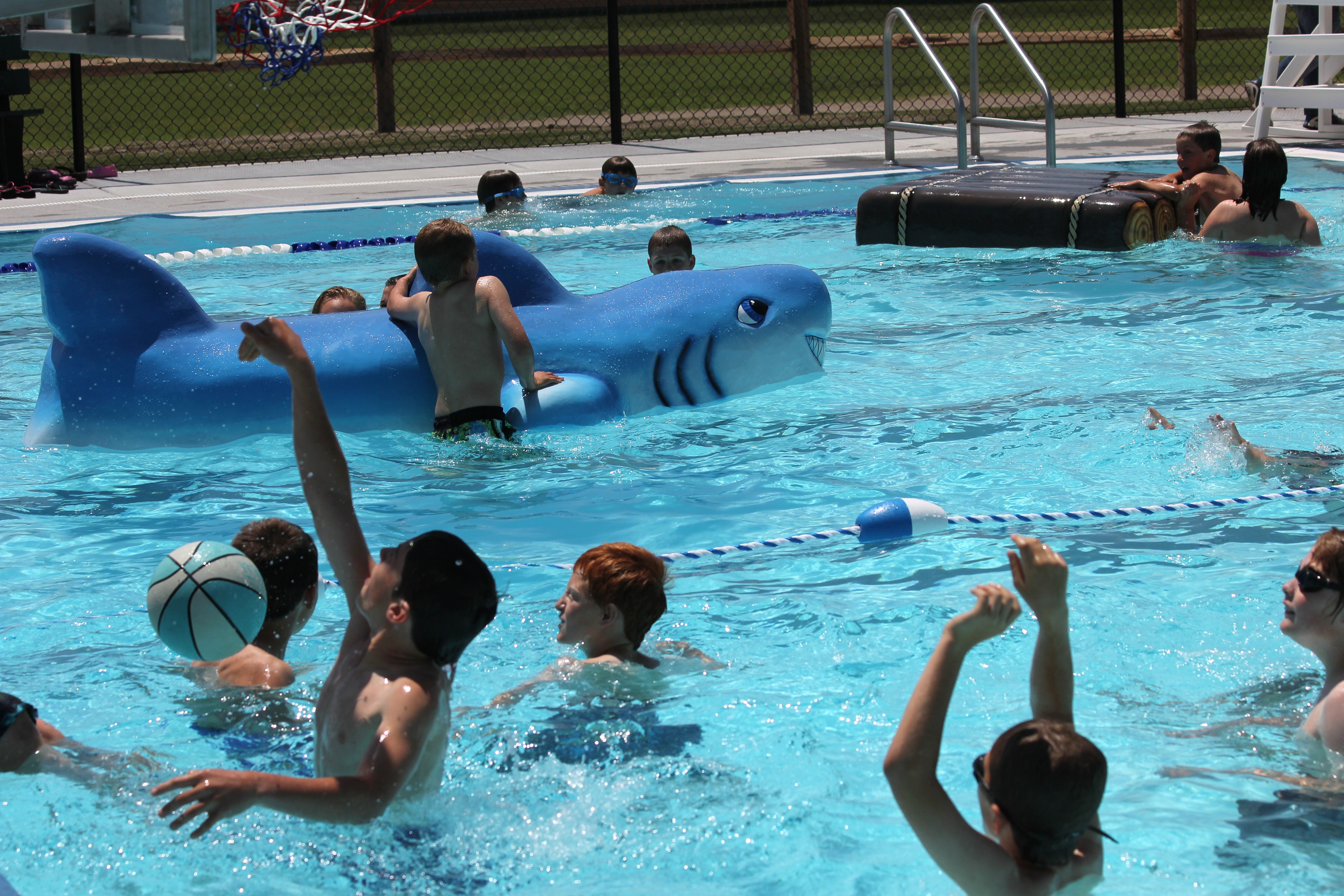 Shark at the Aquatic Center